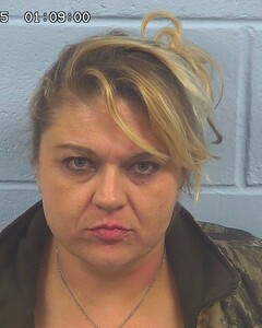 mugshot of MISTY  WILLIAMS