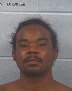 mugshot of LATONYERA  WALKER