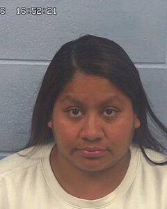 mugshot of ELENA  MATIAS
