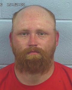 mugshot of LARRY  GREEN