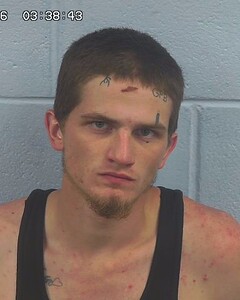 mugshot of LANDEN  BROOKS