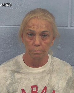 mugshot of KATHY  MITCHELL