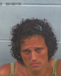 mugshot of SHERRIE  ANDERSON