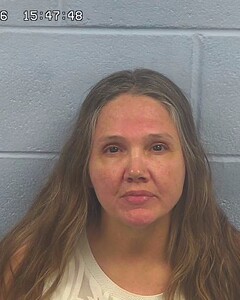 mugshot of CYNTHIA  DAVIDSON