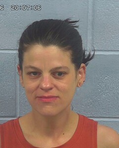 mugshot of ERIN  FLORES