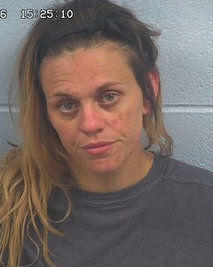 mugshot of ASHLEY  JOHNSON