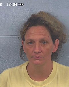mugshot of SONYA  GRISSOM
