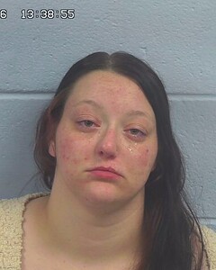 mugshot of HANNAH  WILSON