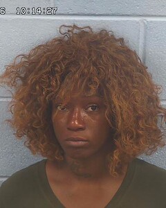 mugshot of DASHAWNNA  DAVIS