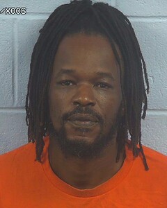 mugshot of GREGORY  SWINK