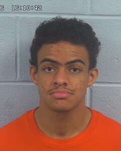 mugshot of BRYSON  BANKS