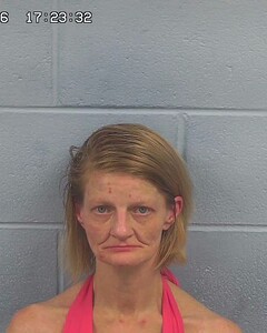 mugshot of KELLI  WYATT