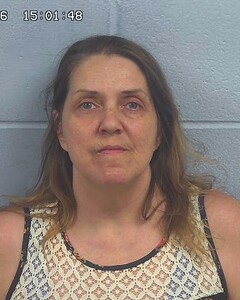mugshot of TONJA  ELLIS