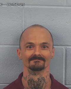 mugshot of DONNIE  GLADDEN