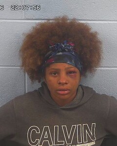 mugshot of TYNASHIA  SANDRIDGE