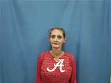 mugshot of LESA  CAYSON