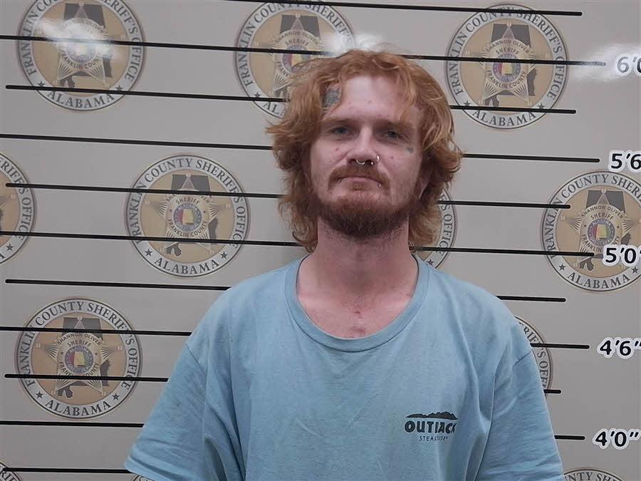 mugshot of DILAN  SMITH