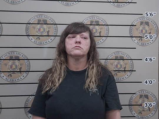 mugshot of MISTY  RICHARDSON