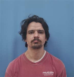 mugshot of BRENT  SARTIN