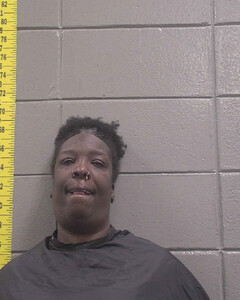 mugshot of SHUTILA  HARDY