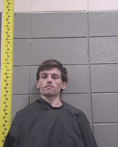 mugshot of ALEXANDER  MCDOUGAL