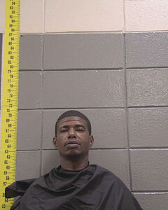 mugshot of JAMES  JOHNSON