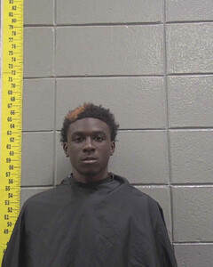 mugshot of FREDERRION  PRUITT