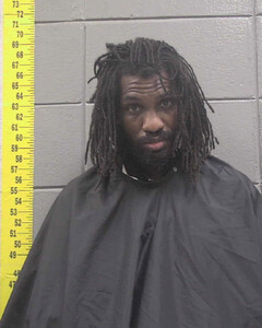 mugshot of DOMINIQUE  ABEL
