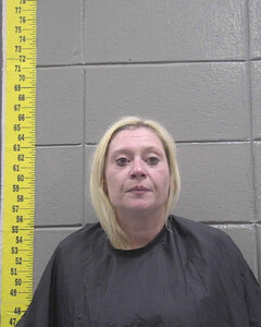 mugshot of BRITTANY  DAVIS