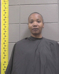 mugshot of SHAWANDA  HOPSON