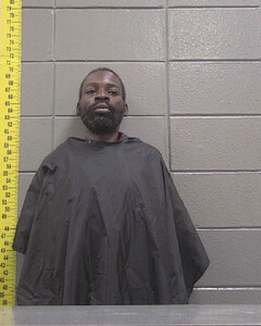 mugshot of WILLIE  IVY