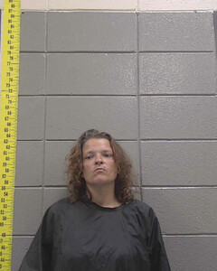 mugshot of JESSICA  MCELVEEN