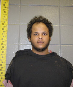 mugshot of TERRELL  MELILLO