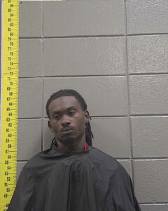 mugshot of JAQUARIUS  NELSON