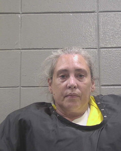 mugshot of LAURA  PEAVY