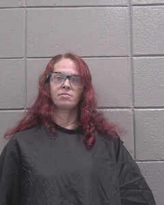 mugshot of ASHLEY  PETERS