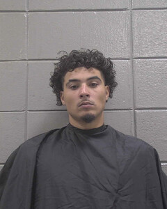 mugshot of LORENZO  POWELL