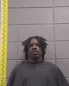 mugshot of JAQUIS  REED