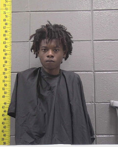 mugshot of JAQUAVION  WILLIAMS