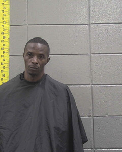 mugshot of LEE ANTHONY  MILLER