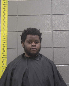 mugshot of DEMONTRELL  TOWNER