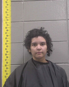 mugshot of SUSANA  ORTEGA MARTINEZ