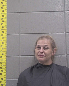 mugshot of AMBER  ETHERIDGE