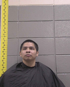 mugshot of NICKOLUS  JOHNSON