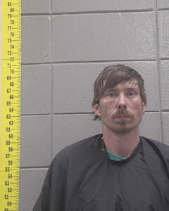 mugshot of JOHNATHAN  IVY