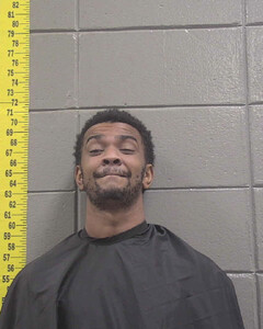 mugshot of MICHAEL  JORDAN