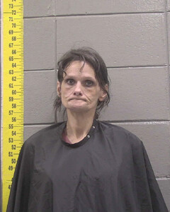 mugshot of ELIZABETH  MANNS-KNIGHT
