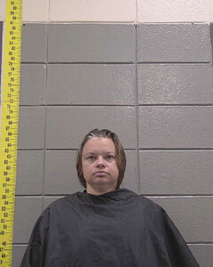 mugshot of ADRIENNE  MCDEVITT