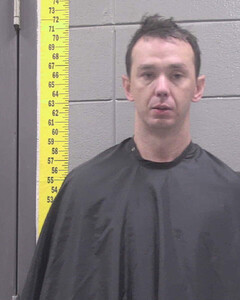 mugshot of RONALD  MCGOWIN