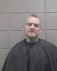 mugshot of DALTON  MCMULLAN